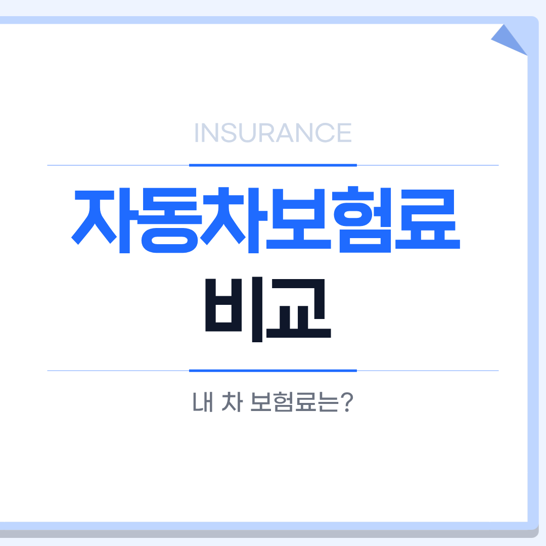 자동차보험료 비교