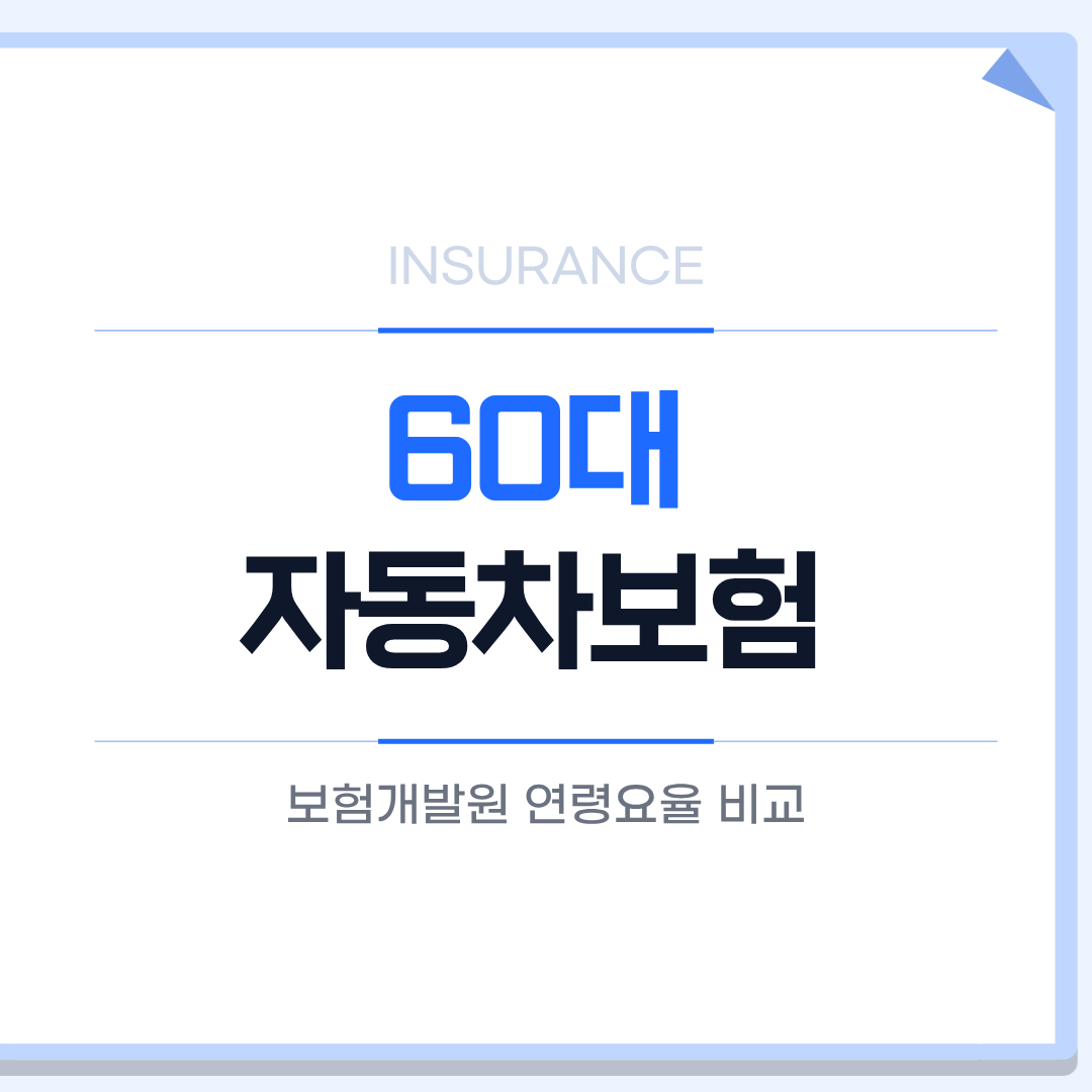 60대 자동차보험료