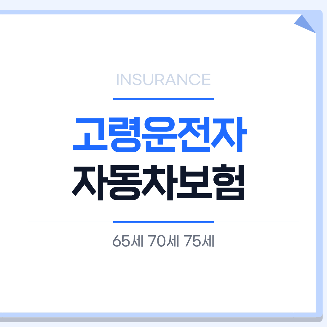 고령운전자 자동차보험